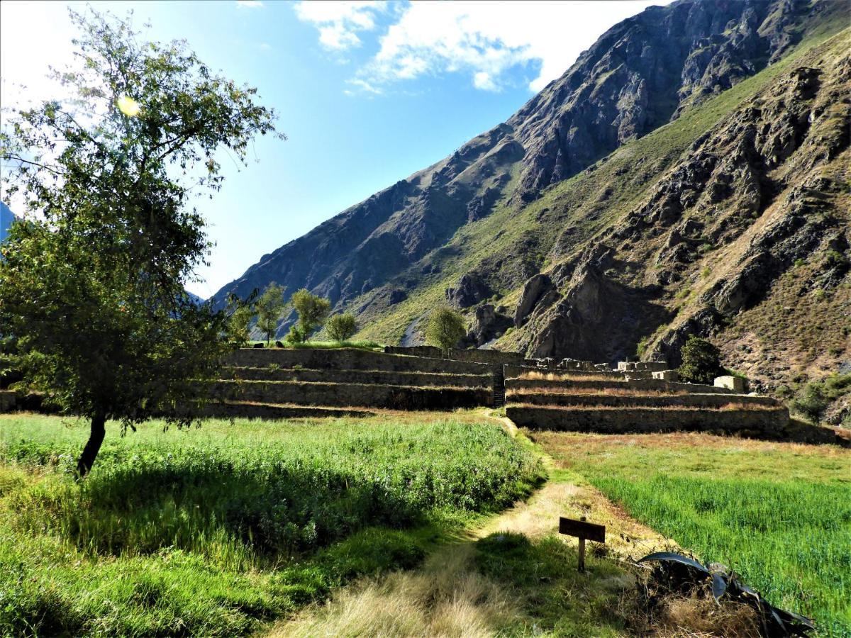 Ayllu B&B Ollantaytambo Extérieur photo