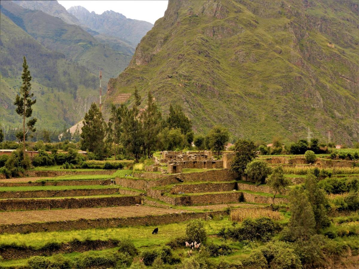 Ayllu B&B Ollantaytambo Extérieur photo
